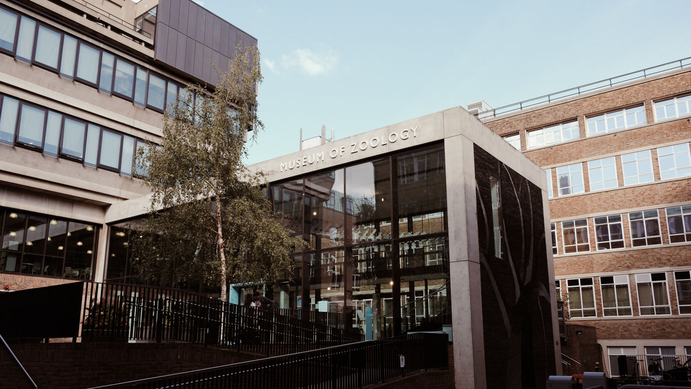 outside building of the cambridge zoology museum