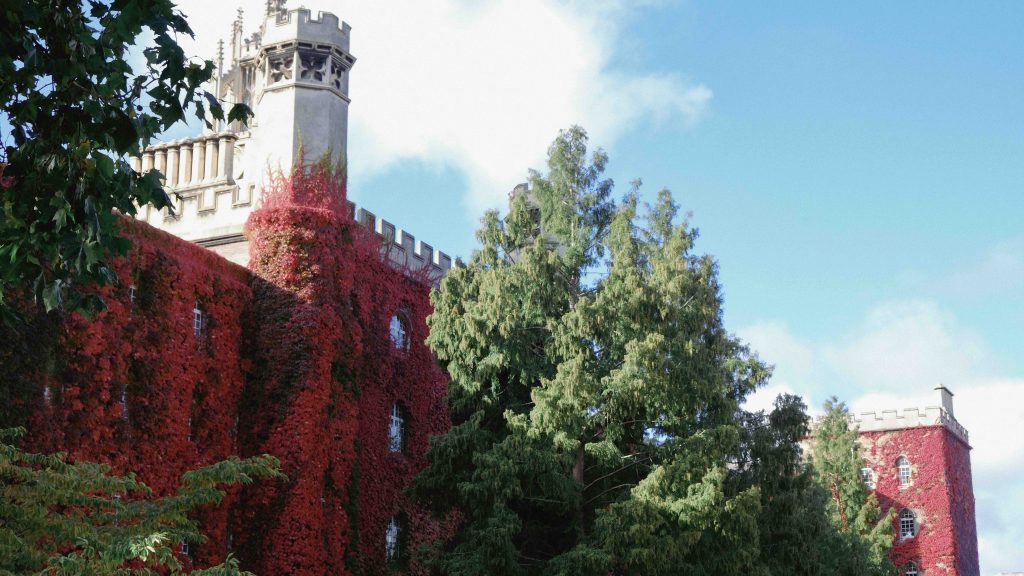 St.Johns New Court in september